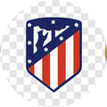 Team logo